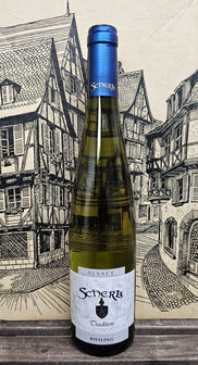 Riesling tradition 2021 Scherb