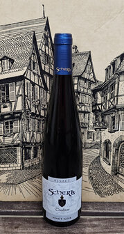 Pinot Noir Tradition 2022 Scherb