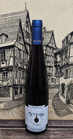 Pinot Noir Tradition 2022 Scherb