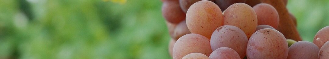 Gewurztraminer-d’Alsace